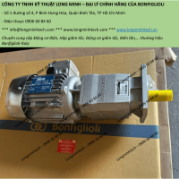 Động cơ giảm tốc trục thẳng Bonfiglioli - C Series