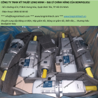 Động cơ giảm tốc trục thẳng Bonfiglioli - C Series